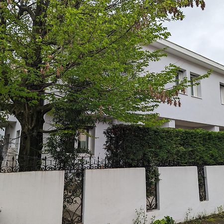 Spazioso Appartamento In Casa Singola Padova Con Giardino 외부 사진
