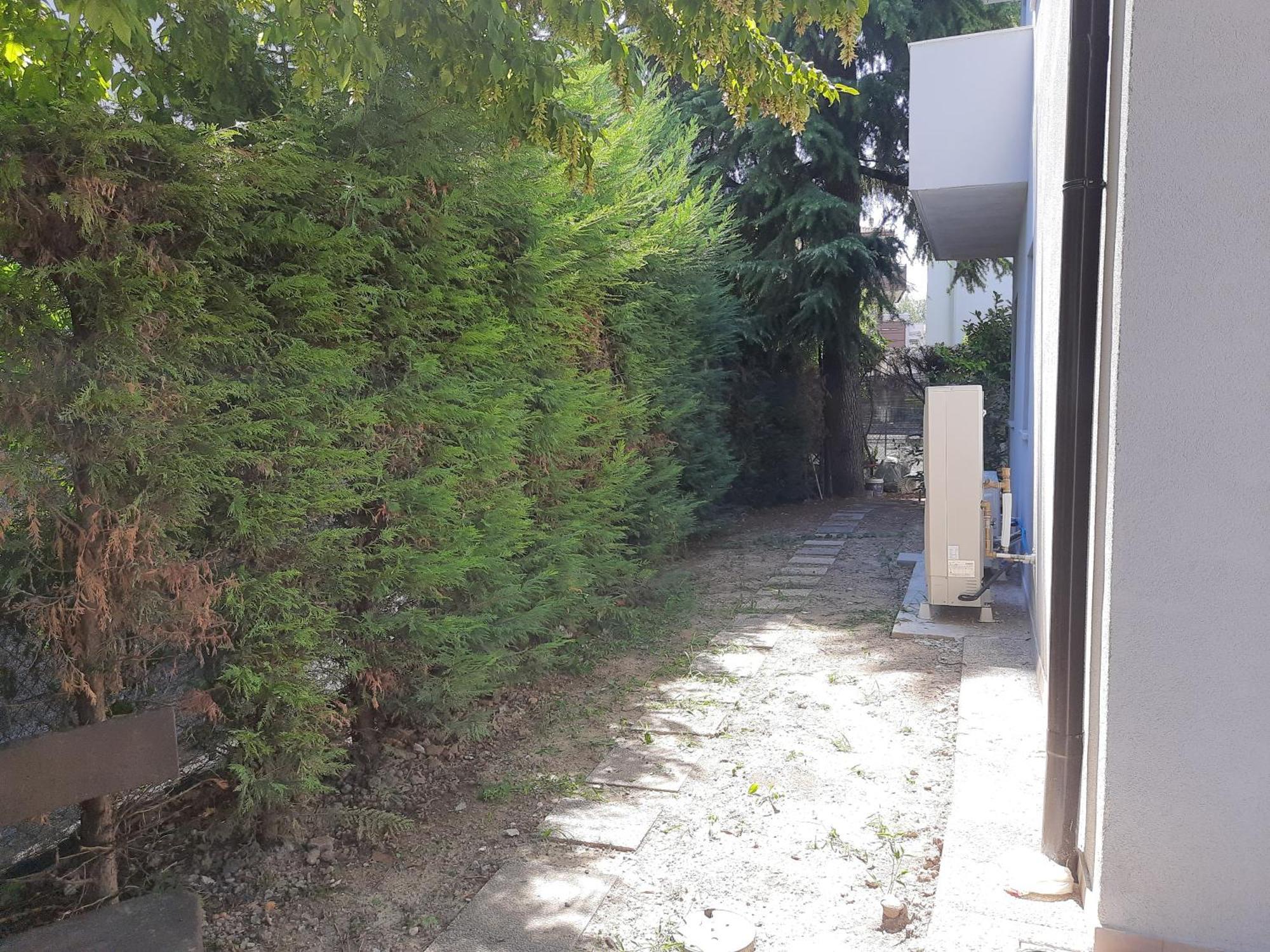 Spazioso Appartamento In Casa Singola Padova Con Giardino 외부 사진